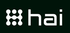 Logo da startup Hybrid AI